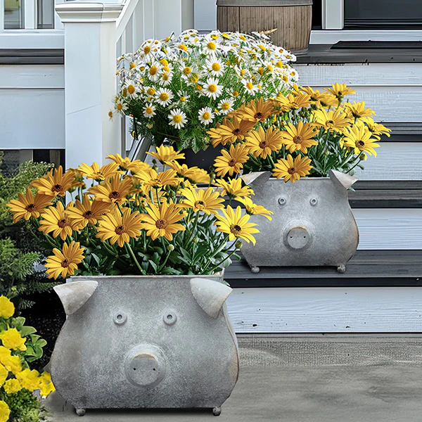 Galvanized Piggy Metal Planters, Set of 2