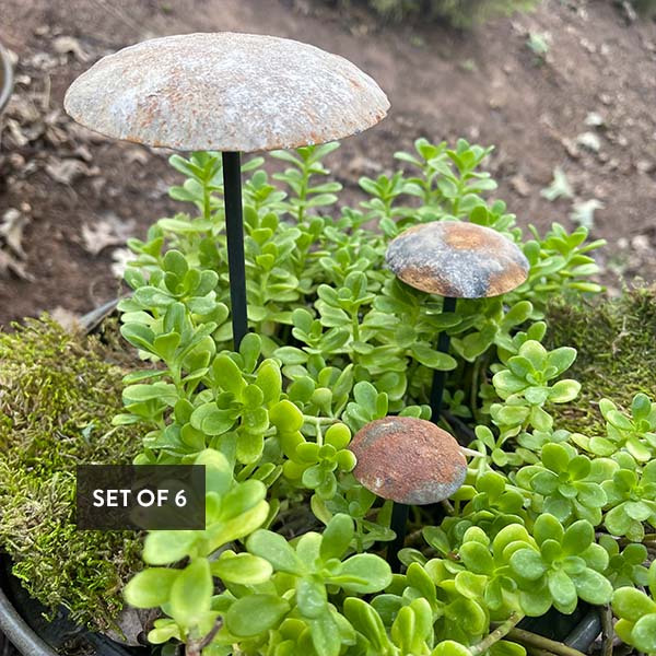 Rusted Patina Zinc Mushrooms, Set of 6