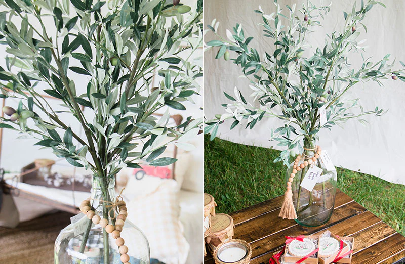 TALL Olive Branch Bush