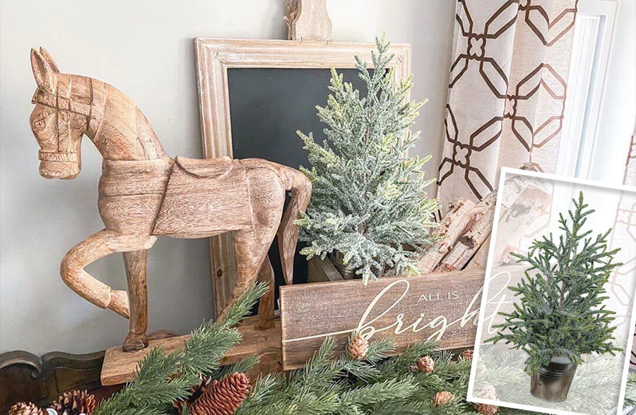 Potted Snow Mountain Pine Tree