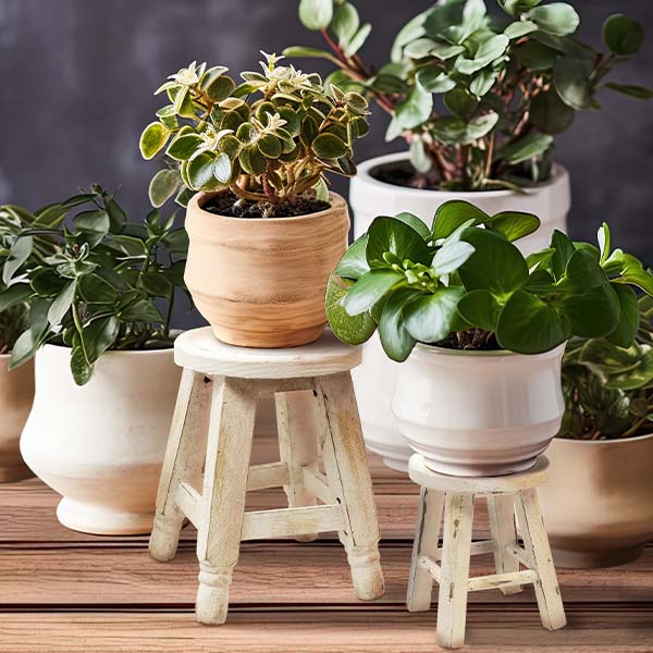 Whitewashed Riser Stools, Set of 2