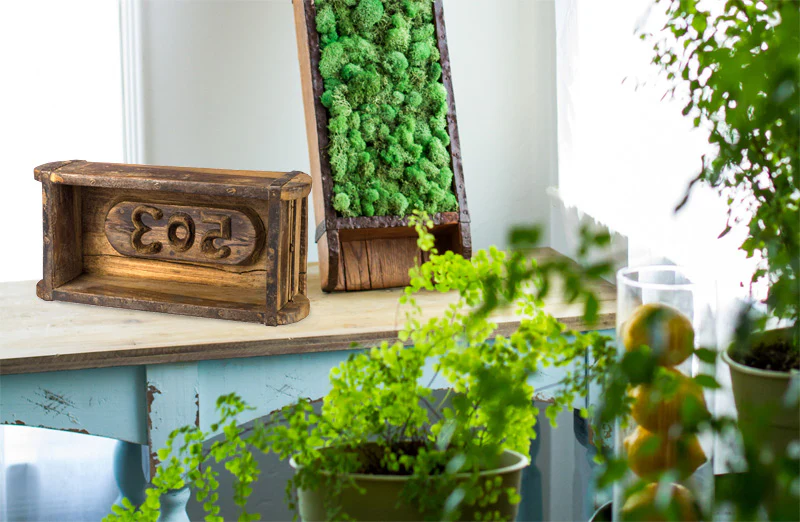 Decorative Brick Mold