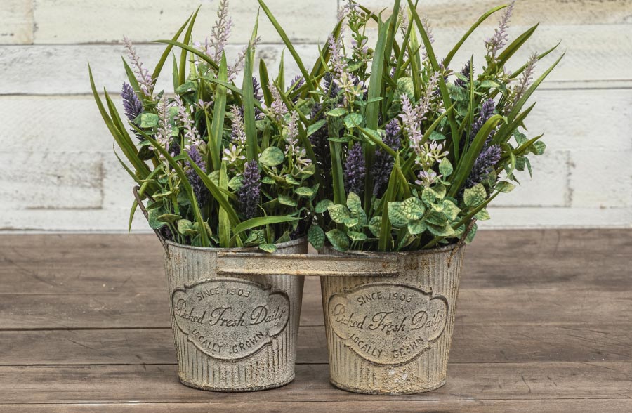 Locally Grown Double Flower Pots