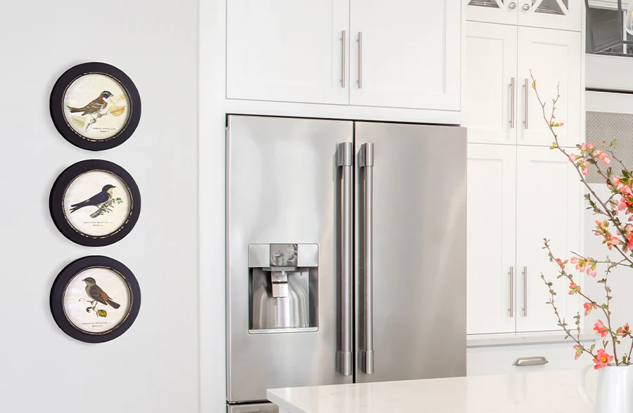 Framed Bird Prints, Set of 3