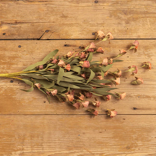 Wildflower Bush, Set of 3 Stems