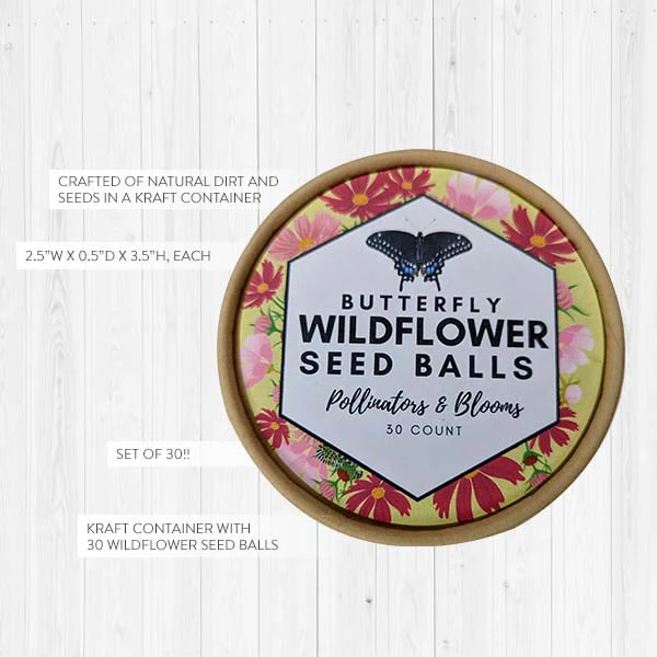 Wildflower Seed Balls in Kraft Pot | Made in USA