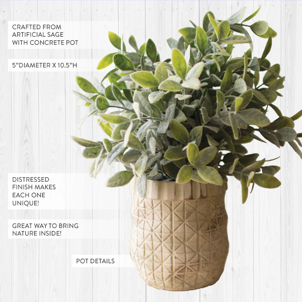 Potted Faux Sage Greenery
