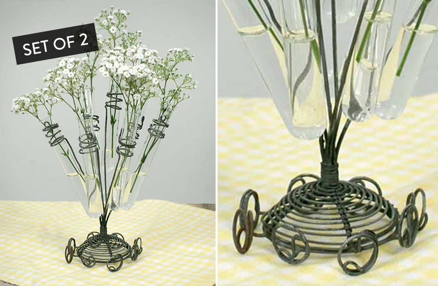 Glass Test Tube Flower Vase, Set of 2