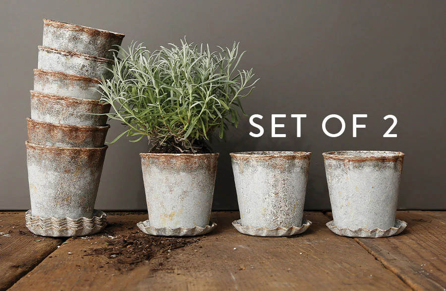 Distressed Metal Pot with Scalloped Saucer, Set of 2