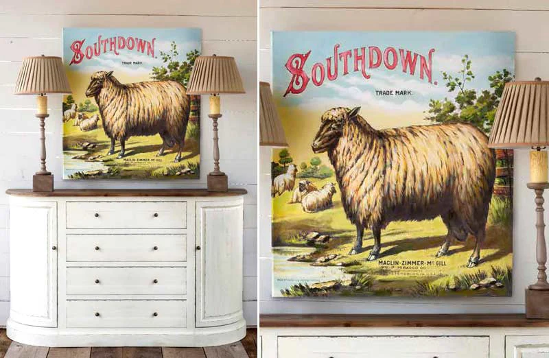 HUGE Southdown Sheep Gicl?e
