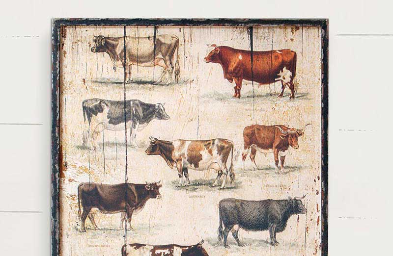 Framed Vintage Cow Picture