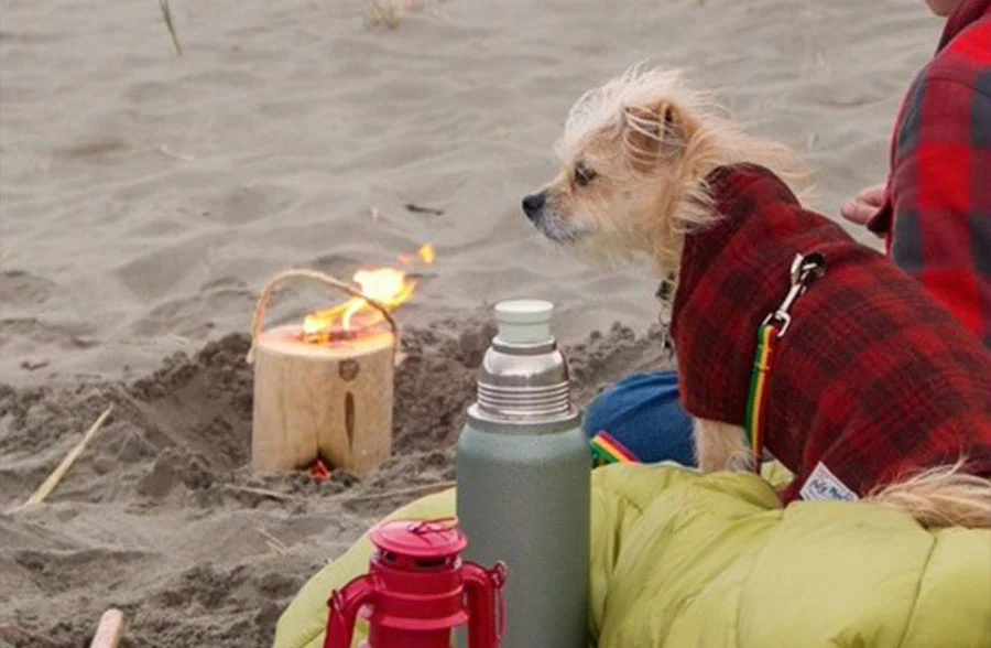 Campfire Log with Handle, Set of 2 | Handmade in the USA