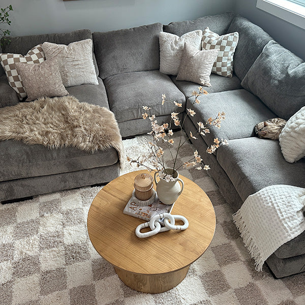 Neutral Checkered Area Rug