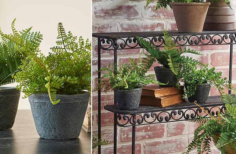 Potted Faux Ferns  Set of 3