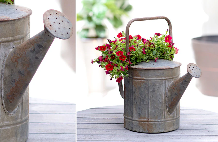 Galvanized Metal Antique Decorative Watering Can