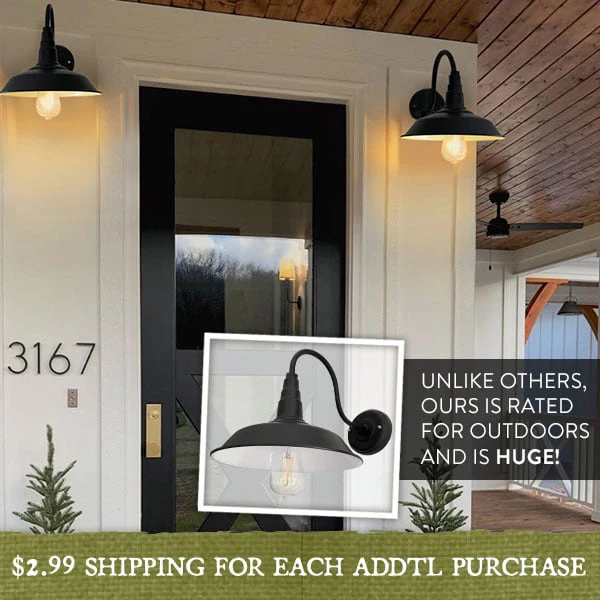 Gooseneck Wall Sconce