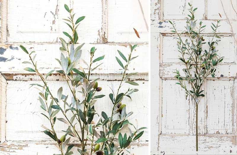 TALL Olive Branch Bush