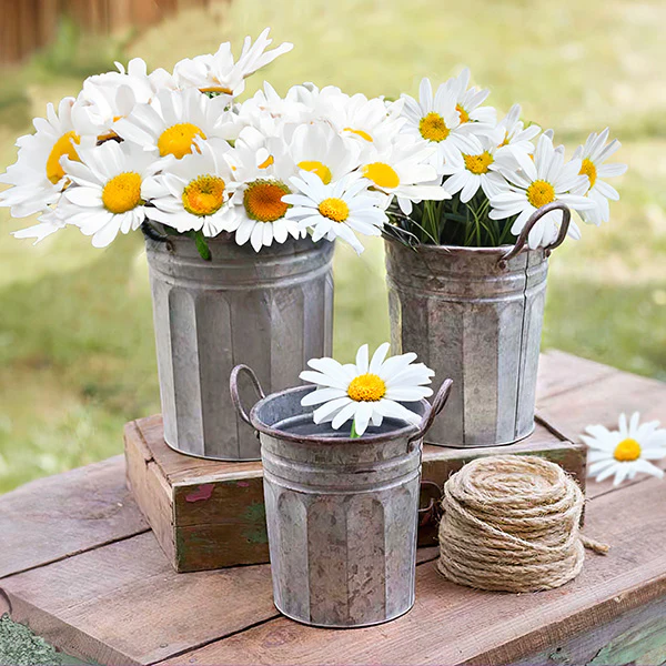 Nesting Galvanized Metal Garden Planter, Set of Three