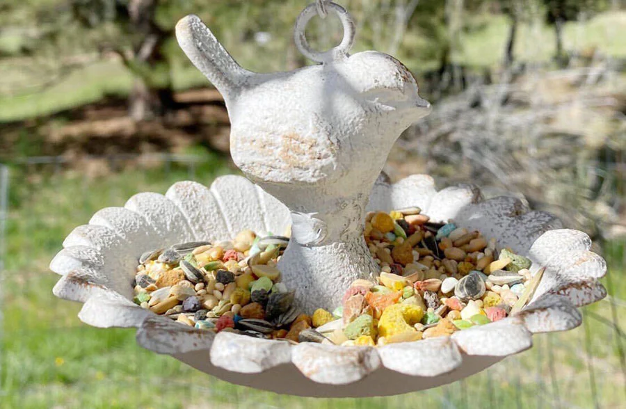 Cast Iron Scalloped Hanging Bird Feeder