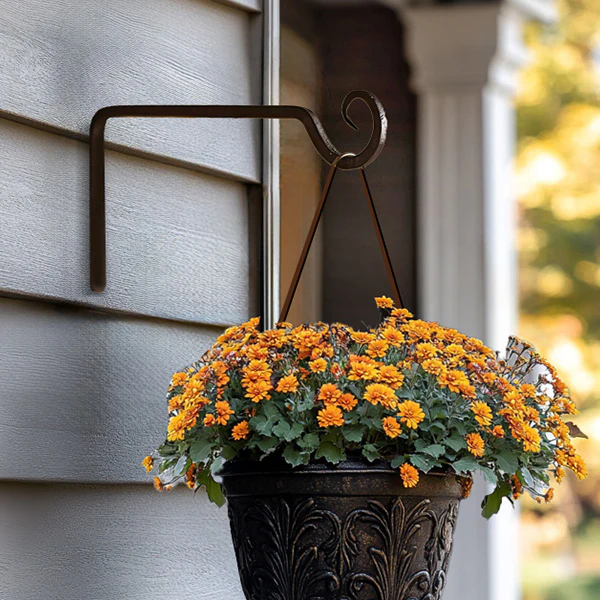 Hand Forged Iron Plant Hook