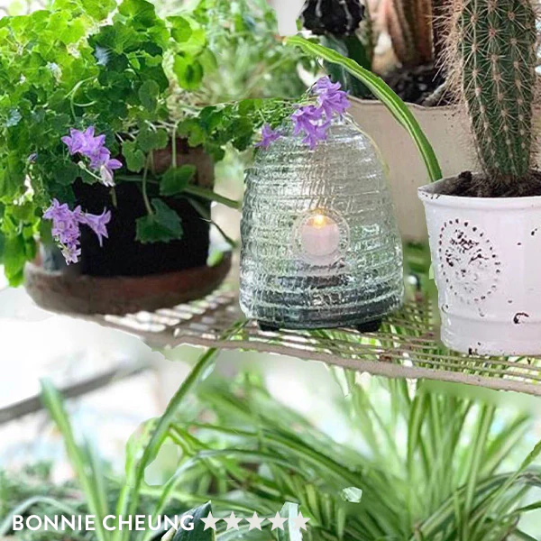 Pesky Insect Tabletop Trap