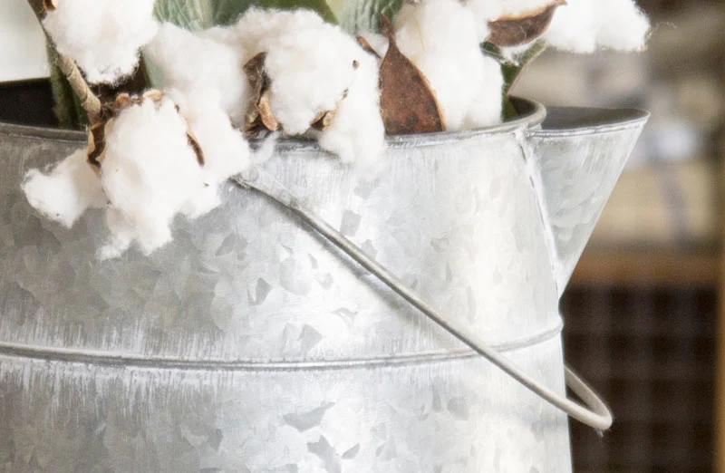 Decorative Metal Watering Can