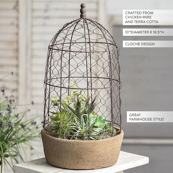 Chicken Wire Cloche with Terra Cotta Pot