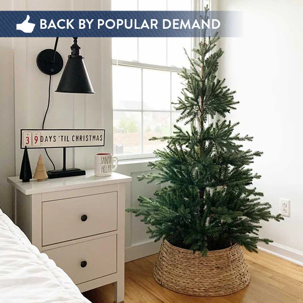 Organic Handwoven Hyacinth Tree Collar