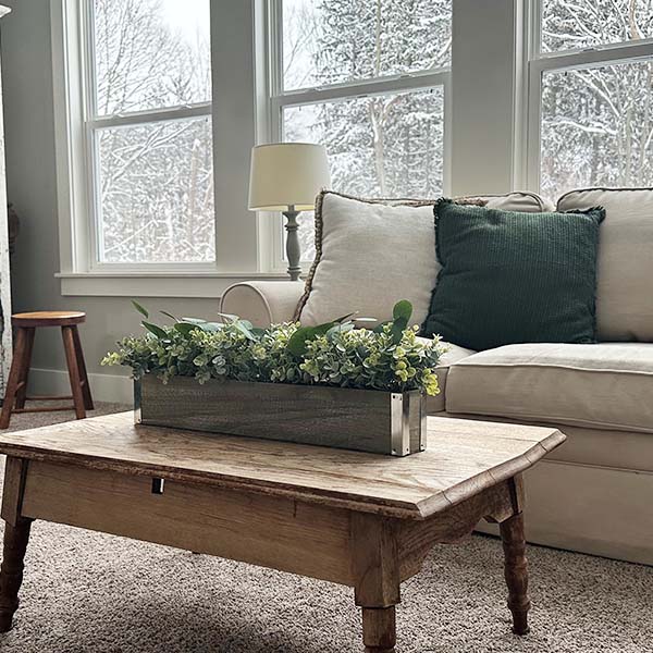 Life-like Eucalyptus Plant, Pick Your Style