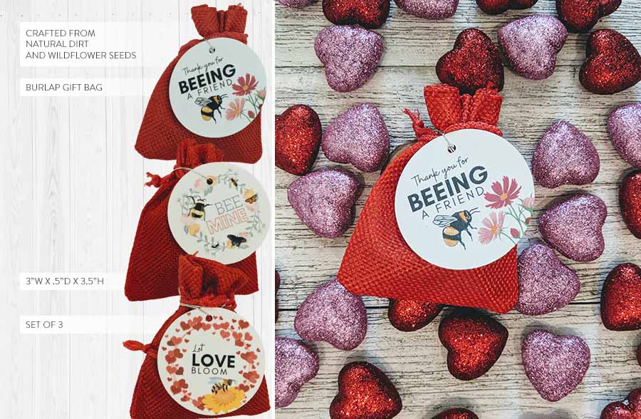 Wildflower Seed Ball Gift Bags, Set of 3 | Made in USA