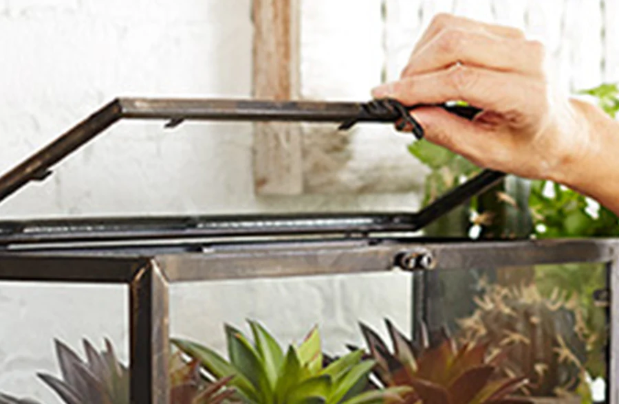 Terrarium Greenhouse Display