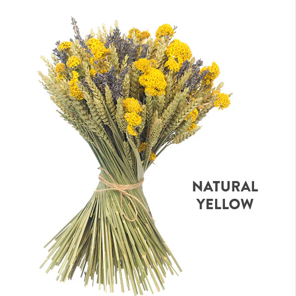 DIY Dried Floral Bouquet From the Fields of Holland, Pick Your Color