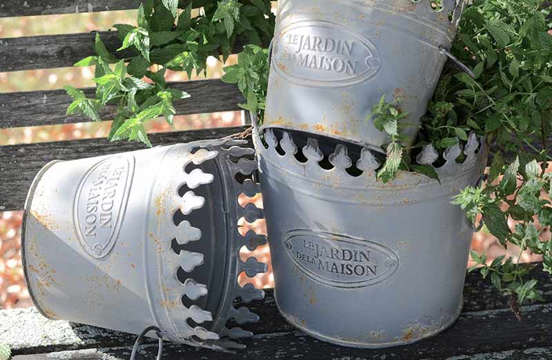 Metal Ornate Planter Buckets  Set Of 3