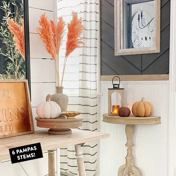 Rust Pampas Stems, Set of 6