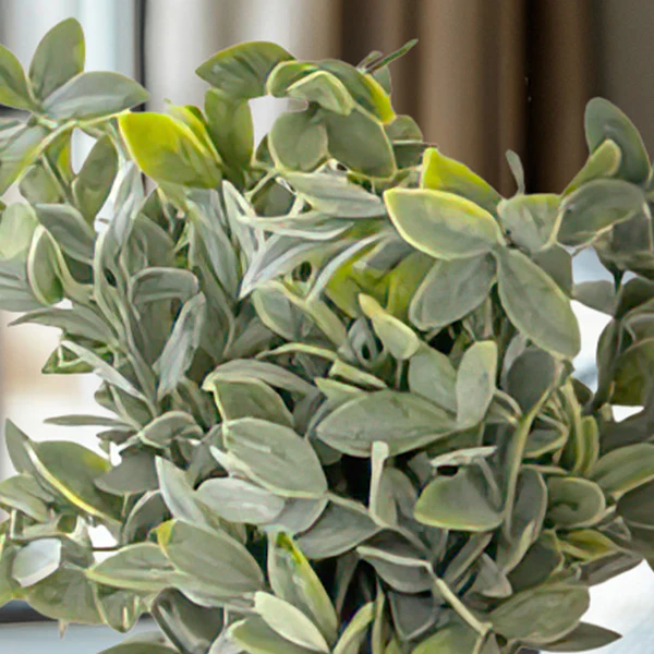 Lifelike Sage Bush in Recycled Pot