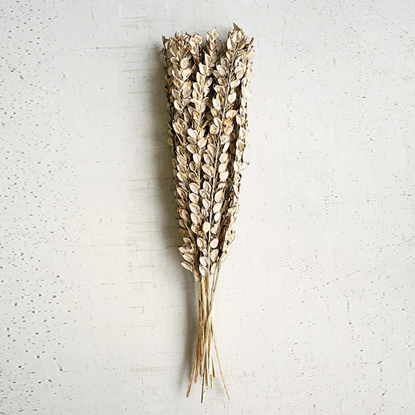 Cotton Petal Stems, Set of 6 Bundles