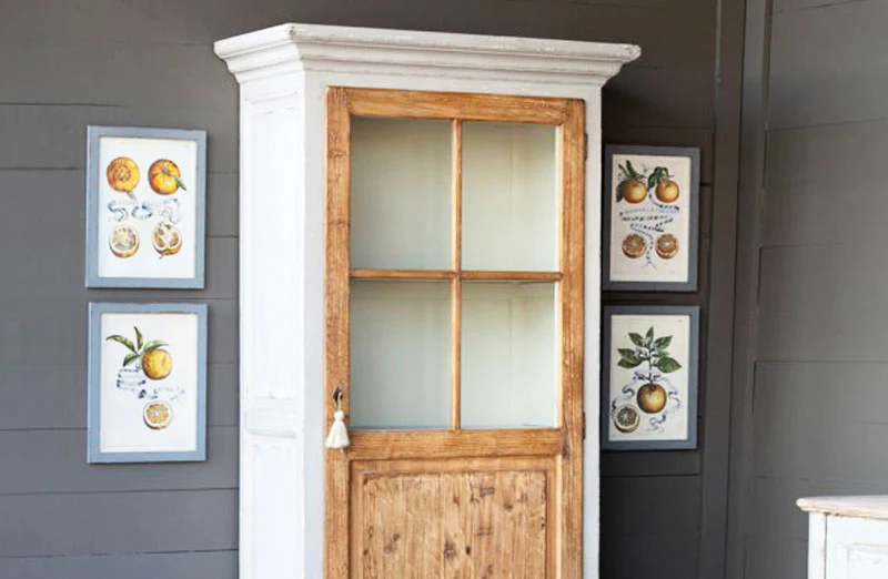 Framed Citrus and Ribbon Prints  Set of 4