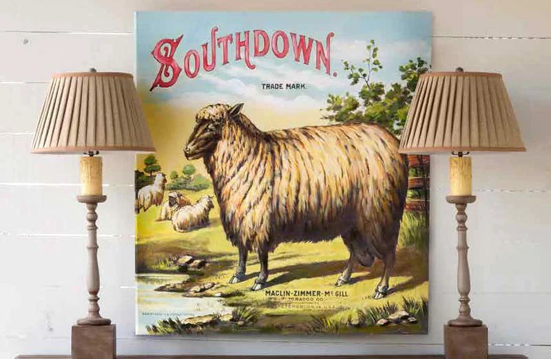 HUGE Southdown Sheep Gicl?e