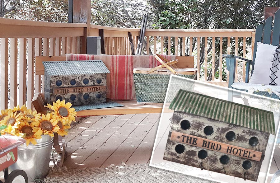 Chicken Coop Feeder Decor