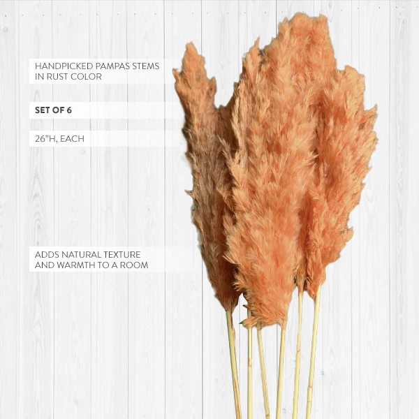 Rust Pampas Stems, Set of 6