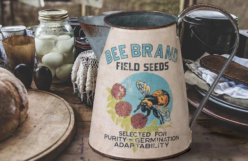 Bee Brand Watering Can