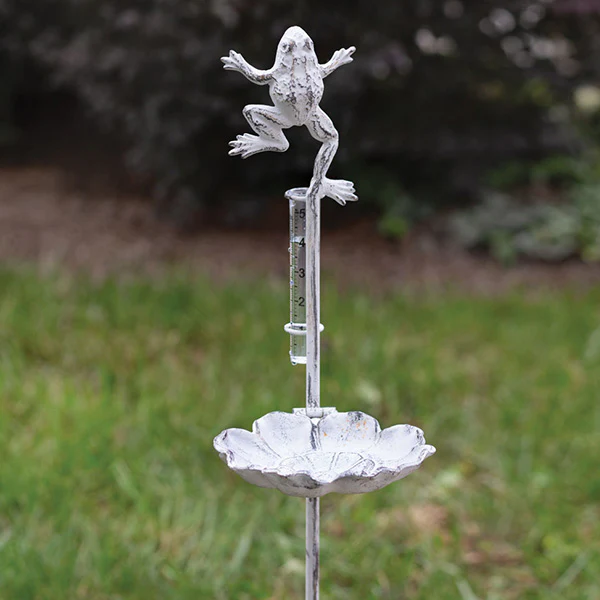 Leapfrog Rain Gauge and Bird  Feeder