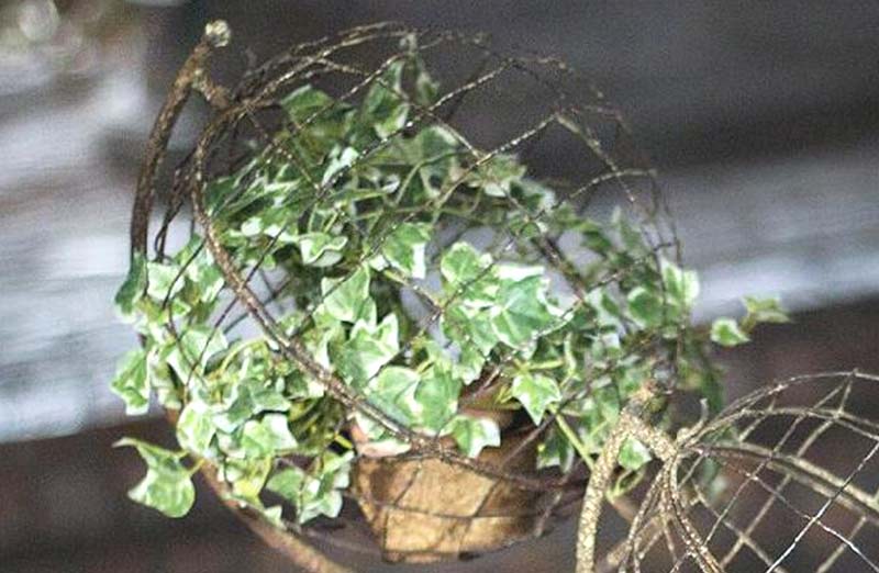 *LARGE* French Wire Globe