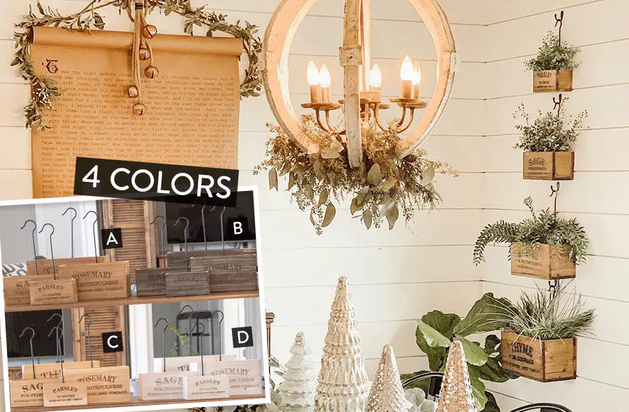 Herb Buckets with Detachable Hooks, Set of 4 - Pick Your Color