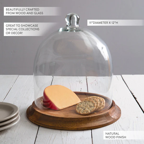 Glass Bell Shaped Cloche with Wood Base