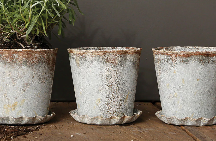 Distressed Metal Pot with Scalloped Saucer, Set of 2