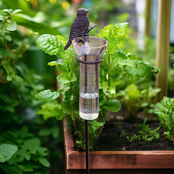 Songbird Rain Gauge Garden Stake