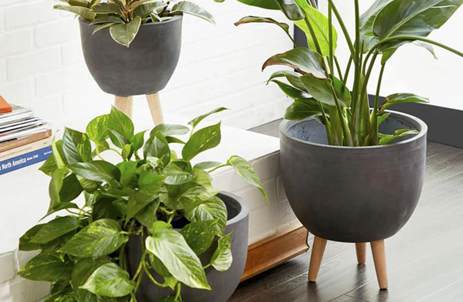 Weather-Resistant Charcoal Clay Tripod Planters, Set of 3