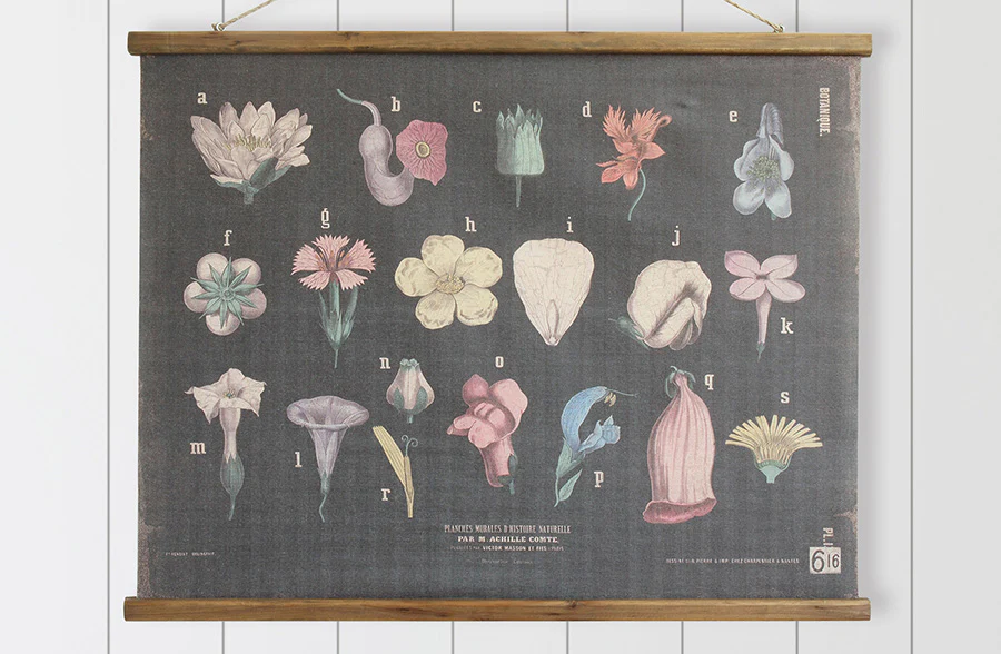 Botanicals Wall Canvas