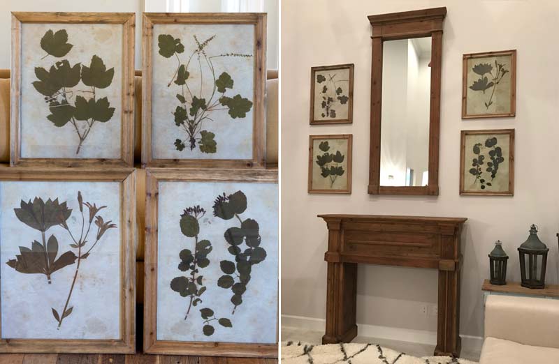 Oversized Pressed Botanical Prints  Set of 4